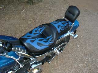 harley with tailbone cushion 2