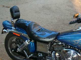 harley with tailbone cushion 3