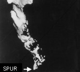 spur on coccyx