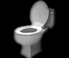 toilet
